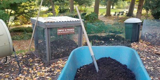 Finished compost  in wheelbarrow  in front of compost bins.