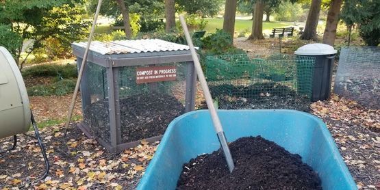 Finished compost  in wheelbarrow  in front of compost bins.
