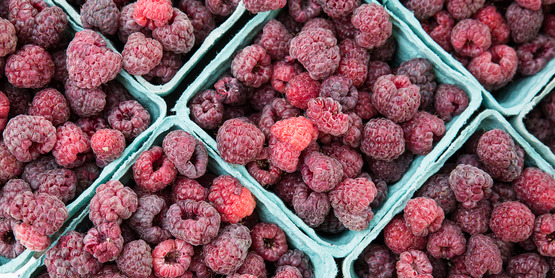 Berries