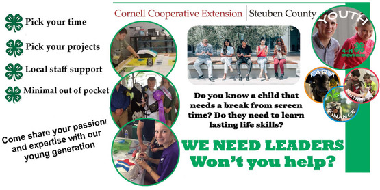 Leader Recruitment for 4-H