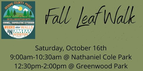 Fall Leaf Walk