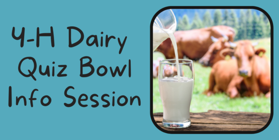 4-H Dairy Quiz Bowl Web Banner 2023