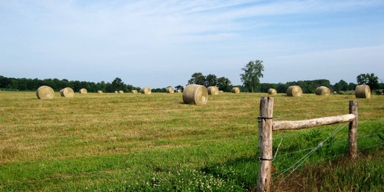 hay field in Ulysses NY