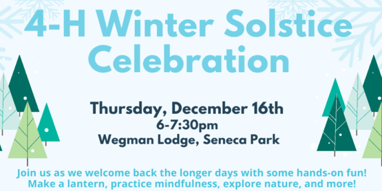 solstice details