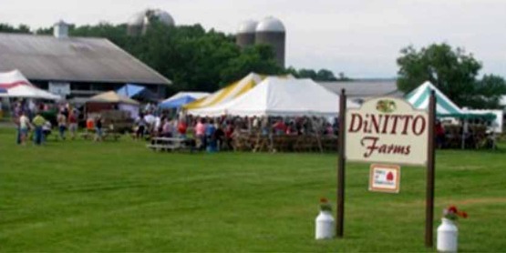 Dinitto Farms, taken from 2017 Farmfest brochure