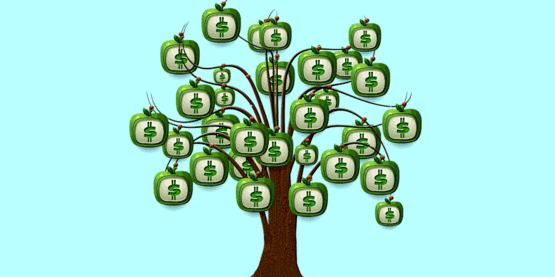 money tree, 850x425px 
