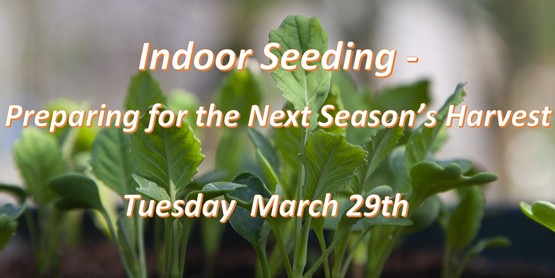 Indoor Seeding 