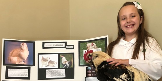 Lilly and her chicken at District Presentations