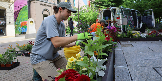 A person in a t-shirt and baseball cap plants flowers in a city park