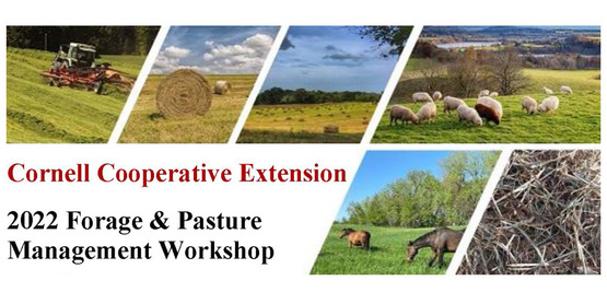 forage and pasture workshop