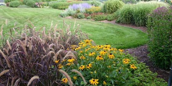 landscape border and lawn