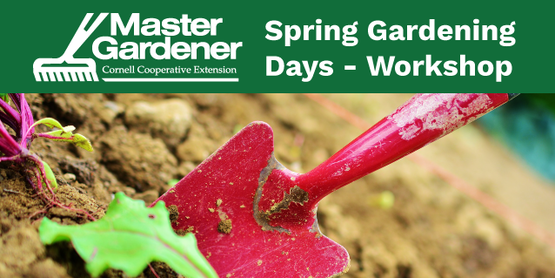 sgd workshop