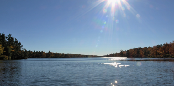 Our region is home to hundred of private & public lakes and waterbodies.
