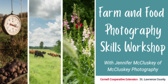 Farm and Food Photography Skills Workshop