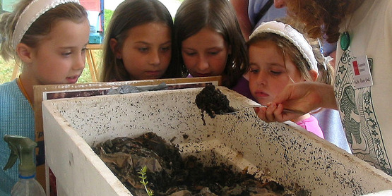 Master composter volunteer (right) shows contents of worm composting bin to Nathalie Smallidge, Stephanie Terwilliger, Annie Seichepin & Adelaide Smallidge at Farm City Day 2005