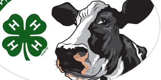 dairy camp