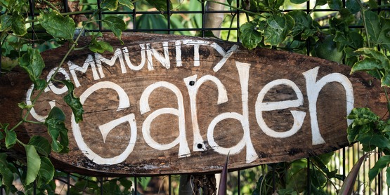 Community garden sign