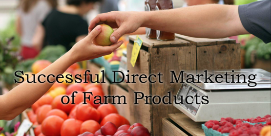 Direct Marketing banner
