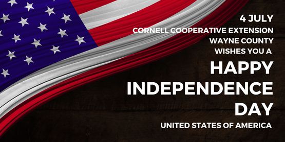 Closed in observance of Independence day 