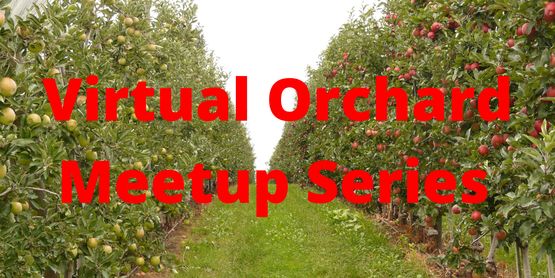 Virtual Orcahrd Meeting