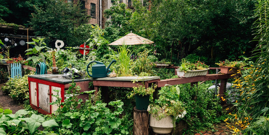 Community Garden