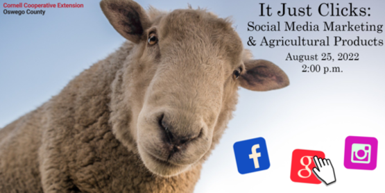 Oswego County workshop
