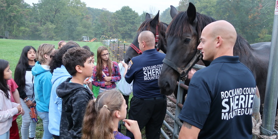 Mounted Police