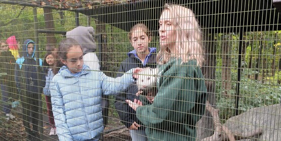 Bear Mountain Zoo