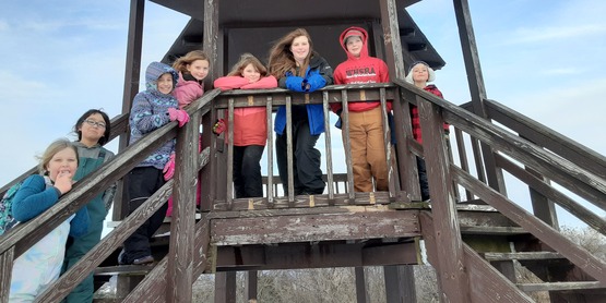 Rogers Farm Tower