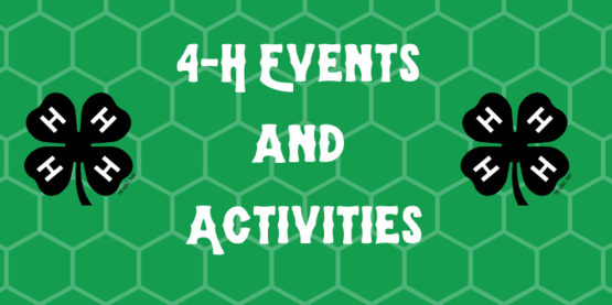4-H Header