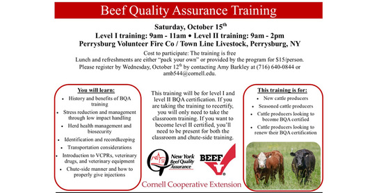 Beef Quality Assurance Training
