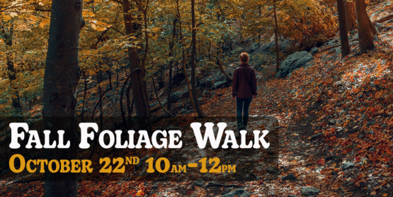 Arnot Forest Foliage walk 2022