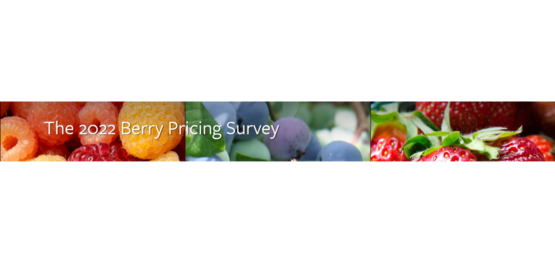 Berry Survey 2022