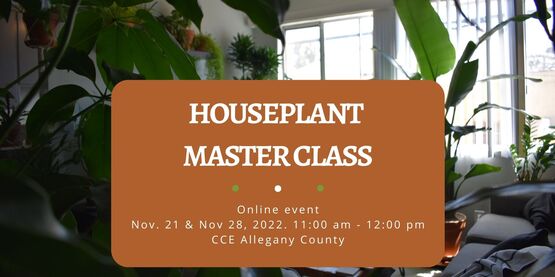 Thinking of starting your indoor garden or struggling to grow plants in your home? This class is for you! 