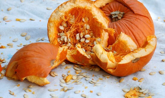 Smashed Pumpkin