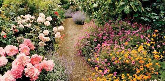 Spring Garden Symposium: Feb. 8, 2025