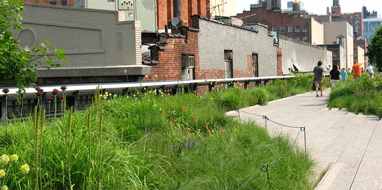 Gardens and pathway on the High Line, a public garden build on an abandoned raised railroad.