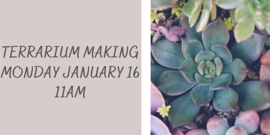terrarium header