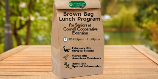 Senior Brown Bag