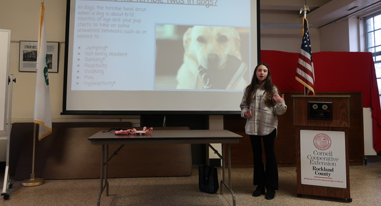 Terrible Twos - Dog Edition