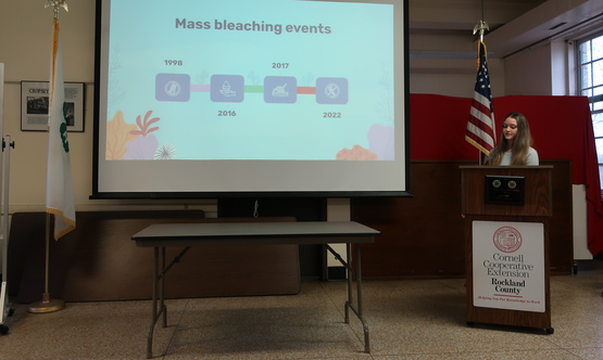 The Effects of Climate Change on the Great Barrier Reef