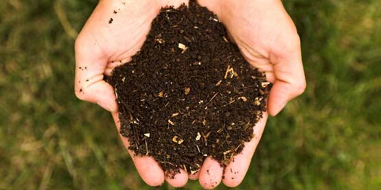 fresh compost