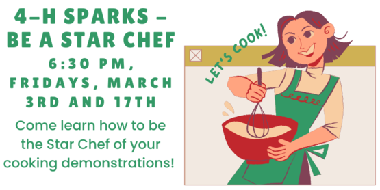 Sparks - Be the Star Chef