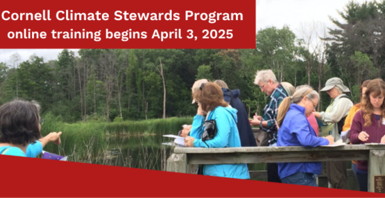 Climate Steward volunteers monitoring waterfowl