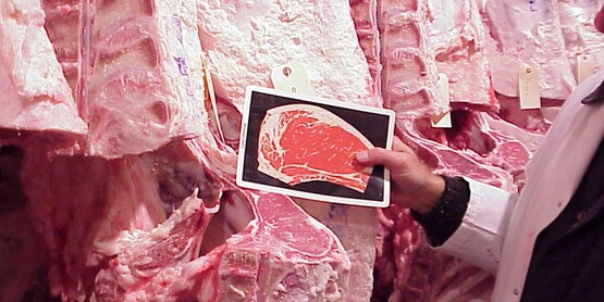 Starting a Red meat Packing Plant in New york State
