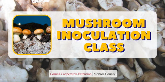 Mushroom Inoculation Class