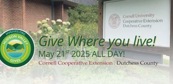 HV Gives 2025