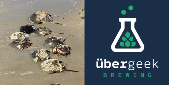 horseshoe crabs ubergeek banner