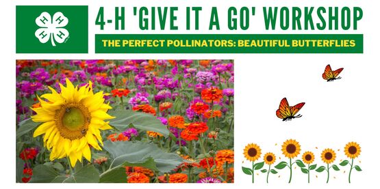 4H Pollinating Butterflies