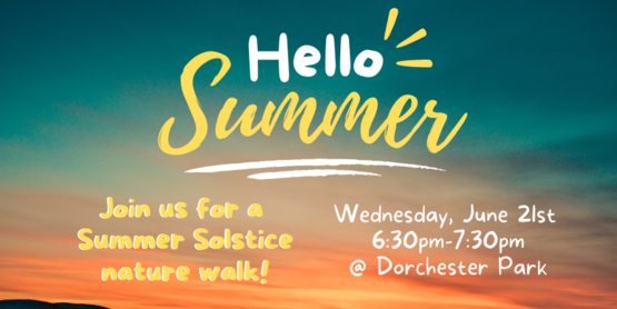 Summer Solstice 